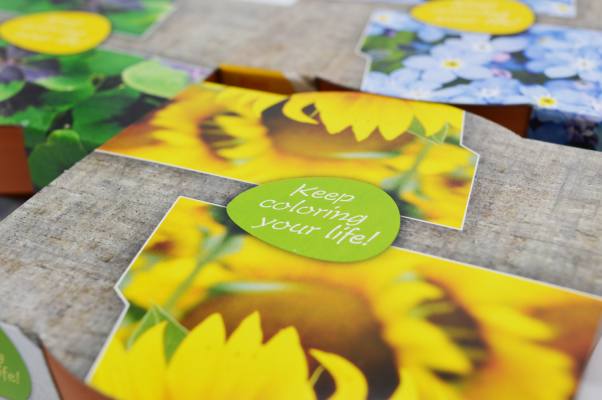 Blomster i terrakottakrukke - Bild 5